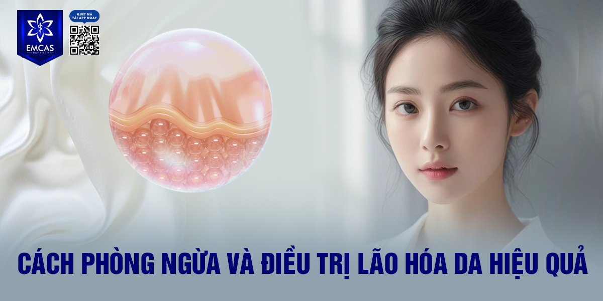 Cách Phòng Ngừa Và Điều Trị Lão Hóa Da Hiệu Quả