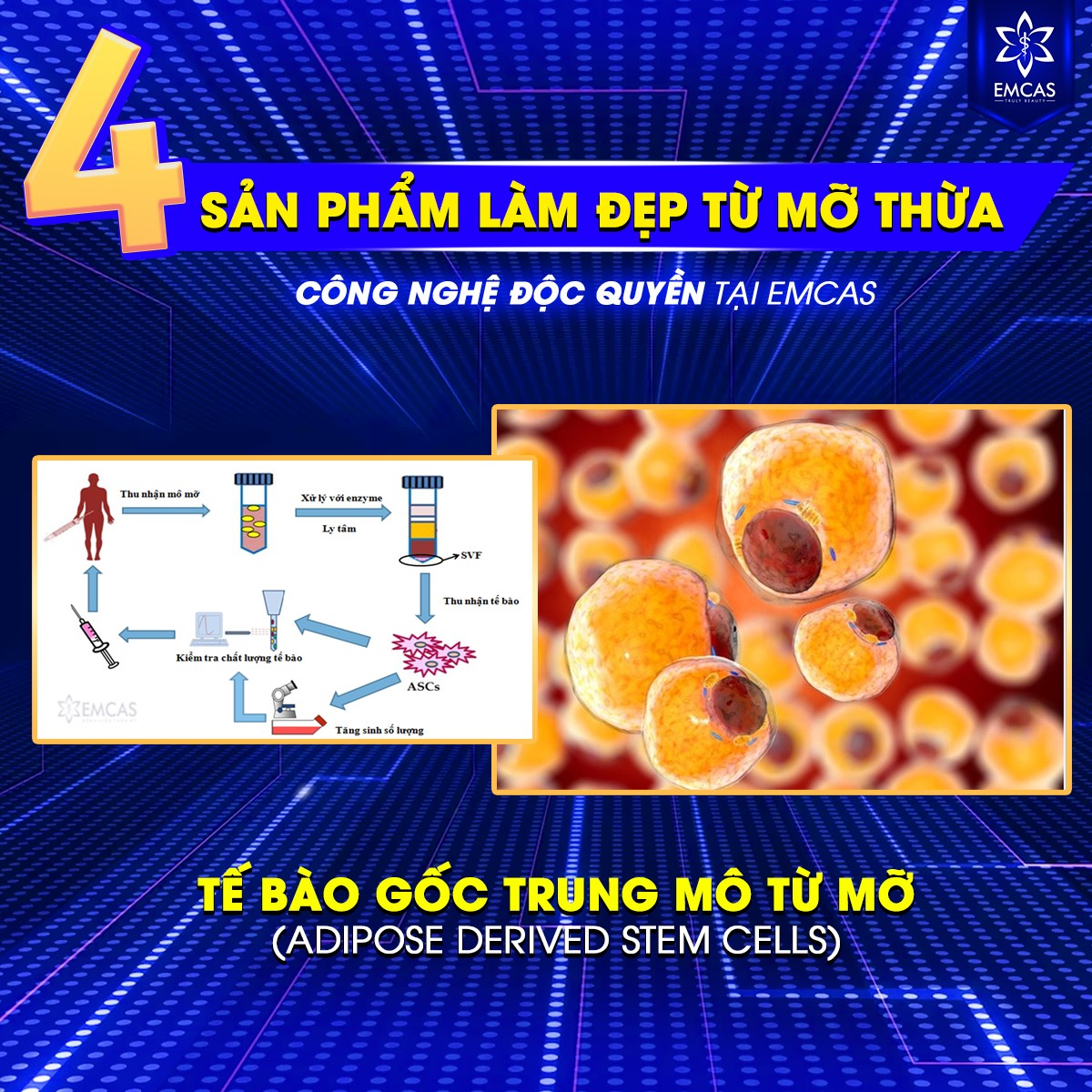 4 Sản Phẩm Làm Đẹp Từ Mỡ