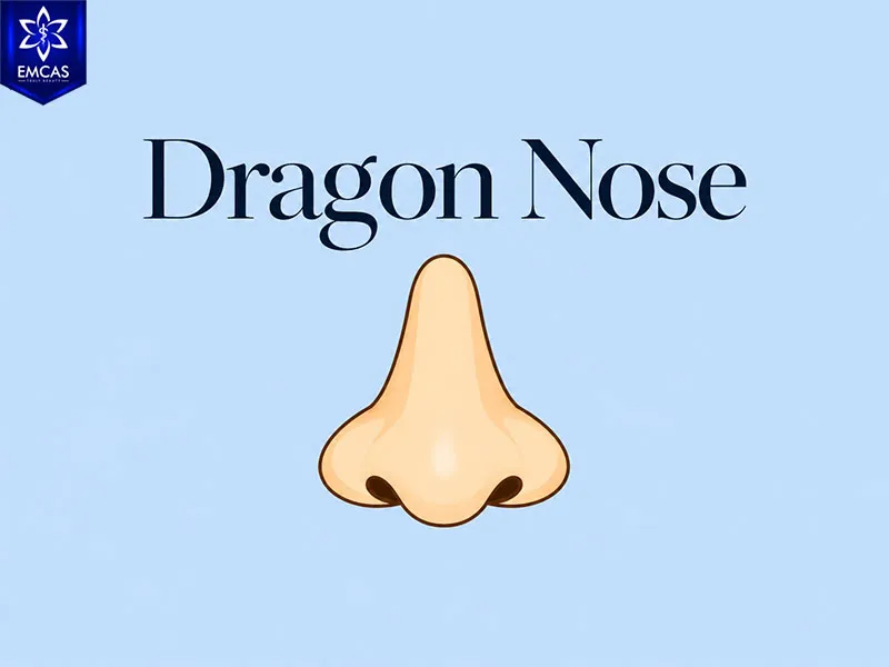 Dragon nose shape traditionally associated with authority and leadership in face reading
