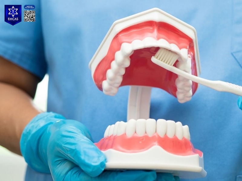 Trong quá trình chăm sóc răng sau khi cắm Implant, một trong những yếu tố quyết định sự thành công lâu dài là cách vệ sinh răng Implant