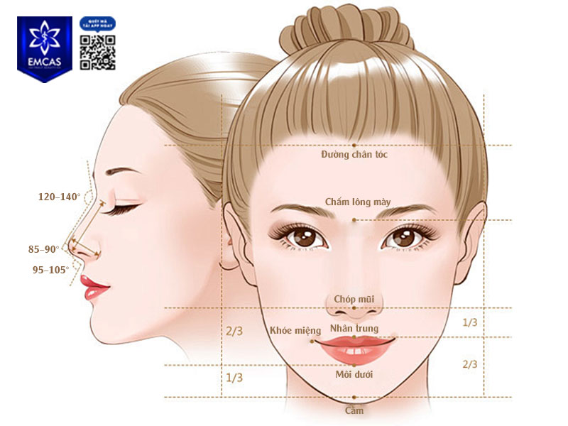 Một dáng mũi đẹp tự nhiên không chỉ phụ thuộc vào độ cao hay hình dáng đầu mũi, mà quan trọng hơn là sự hài hòa với tổng thể gương mặt.