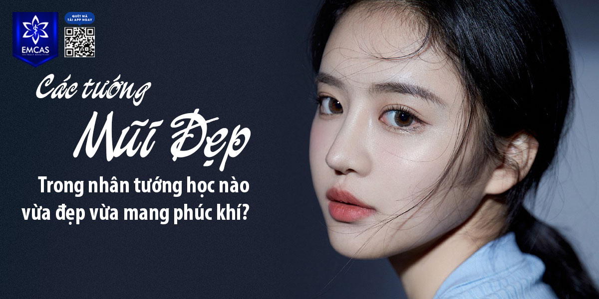 CÁC TƯỚNG MŨI ĐẸP TRONG NHÂN TƯỚNG HỌC