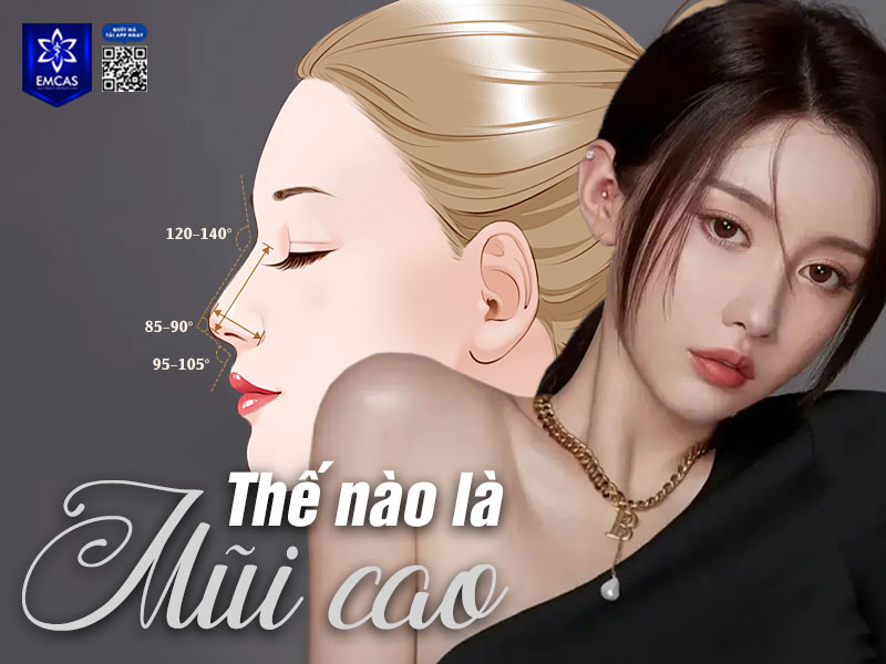 Một dáng mũi được xem là cao khi sống mũi có độ nhô tự nhiên, chạy thẳng từ gốc mũi đến đầu mũi, tạo nên đường cong mềm mại khi nhìn nghiêng và mang lại chiều sâu cho gương mặt.