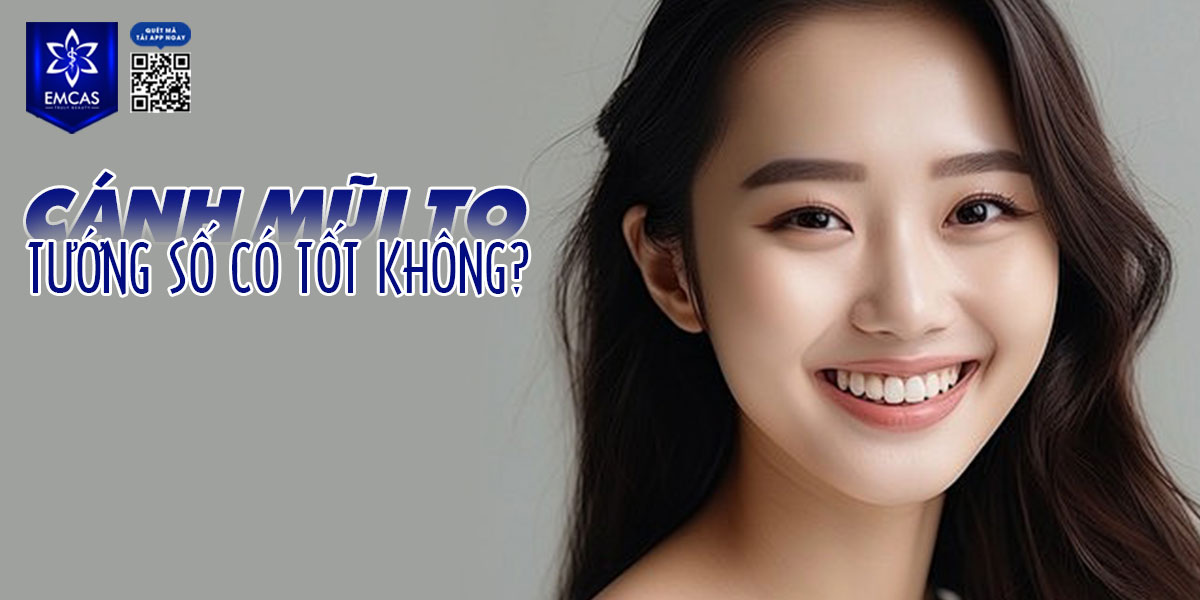 CÁNH MŨI TO CÓ ĐẶC ĐIỂM GÌ?