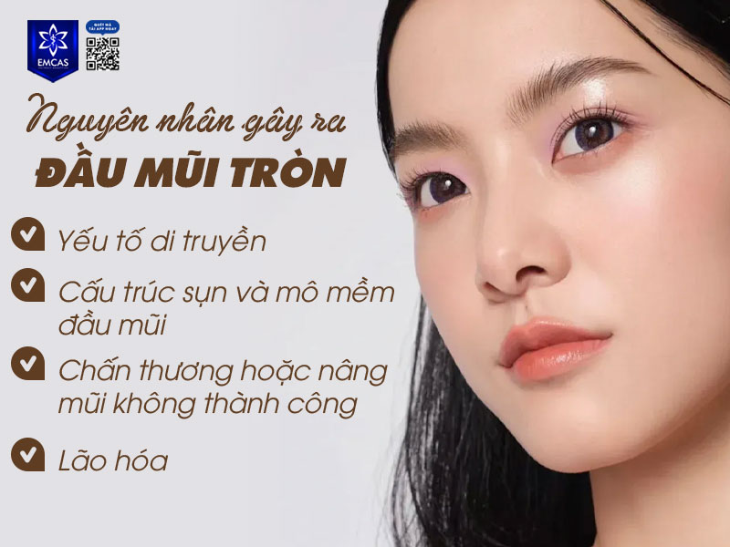 Đầu mũi tròn là kết quả của nhiều yếu tố tác động từ di truyền đến cấu trúc mũi.