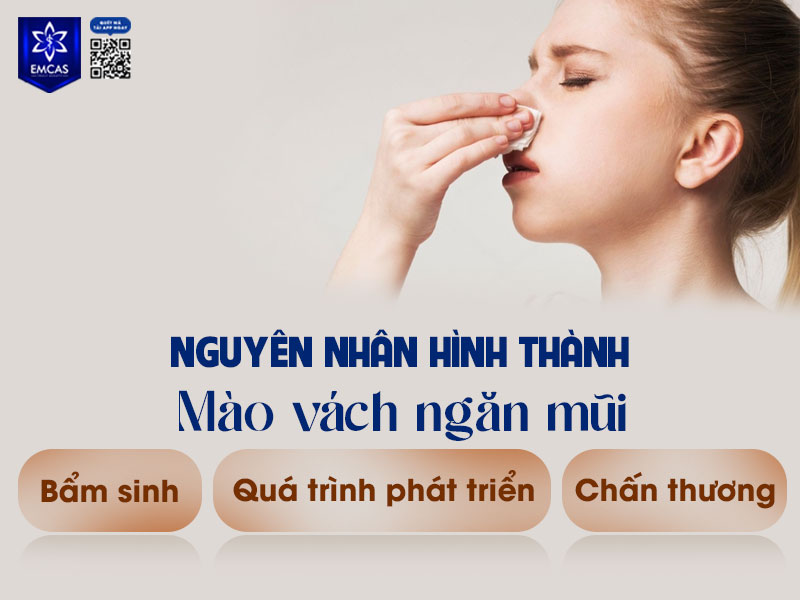 Nguyên nhân hình thành mào vách ngăn mũi thường xuất phát từ những yếu tố bẩm sinh hoặc tác động bên ngoài