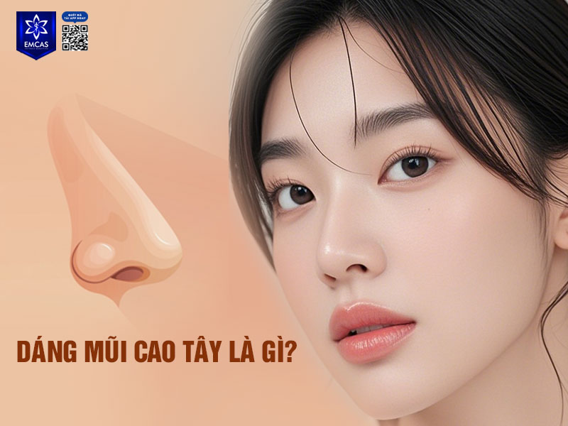 Dáng mũi cao Tây là kiểu mũi có sống mũi dài, cao, thẳng, phần đầu mũi nhỏ và cánh mũi thon gọn