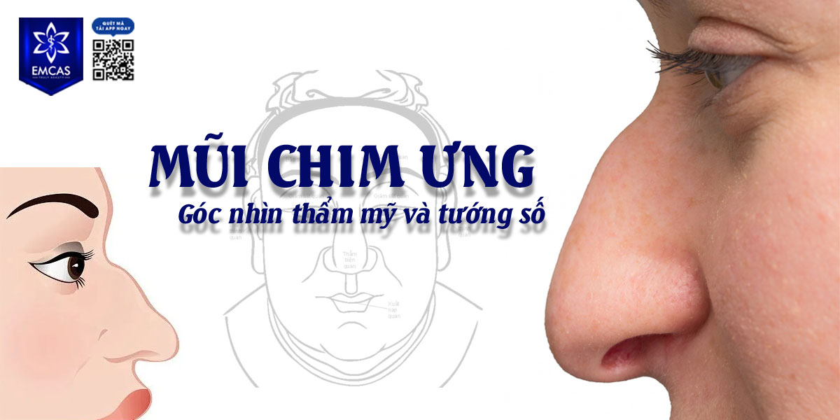 MŨI CHIM ƯNG – GÓC NHÌN THẨM MỸ VÀ TƯỚNG SỐ