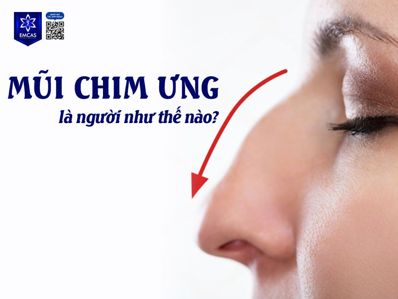 Người sở hữu mũi chim ưng thường mang khí chất đặc biệt, nổi bật và có cá tính mạnh mẽ hơn người