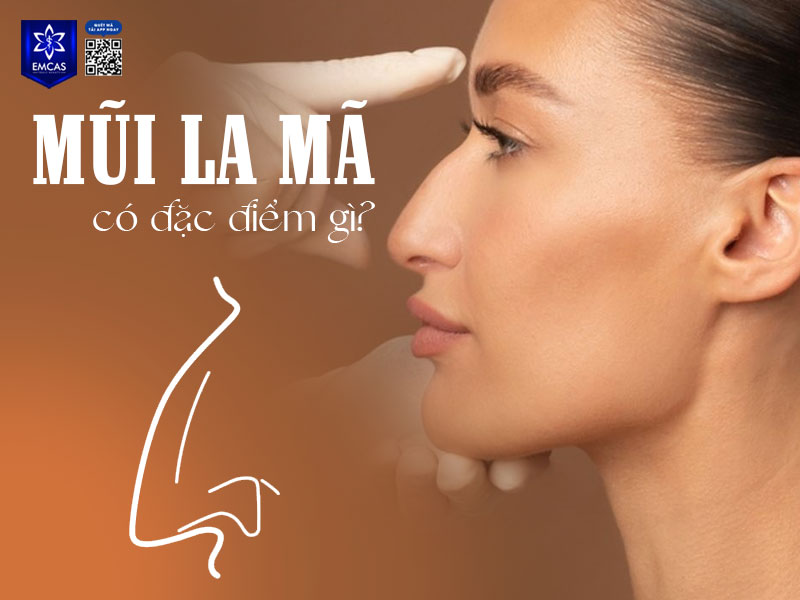 Mũi La Mã là một trong những dáng mũi đặc trưng, thường xuất hiện ở người phương Tây và được nhiều người nhận biết nhờ nét góc cạnh, mạnh mẽ.