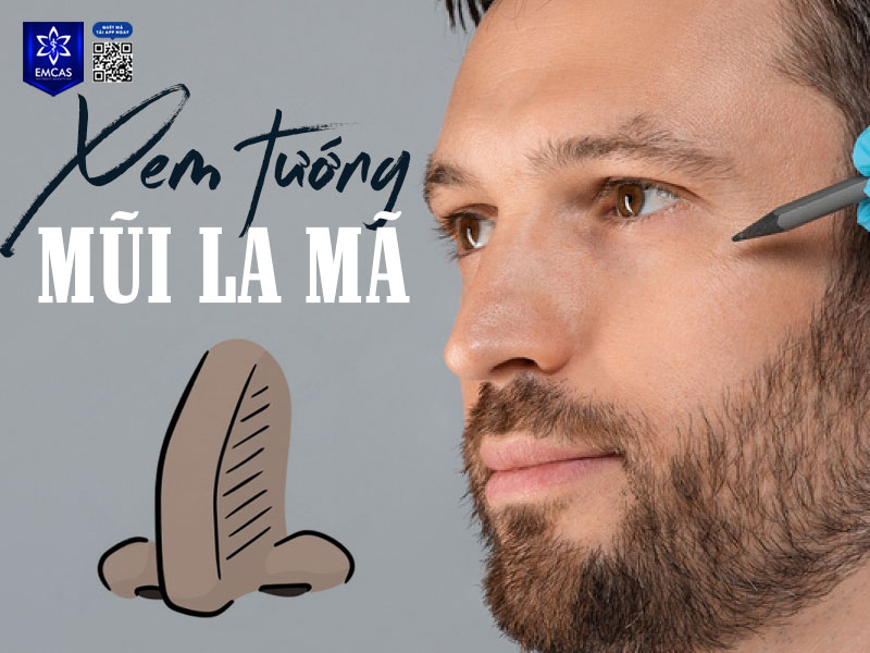 Bạn cần lưu ý rằng khi xem tướng mũi La Mã cần xét trong tổng thể gương mặt, việc dáng mũi nào tốt – xấu phần lớn dựa vào sự hài hòa hình thể hơn là “cứng nhắc theo sách”