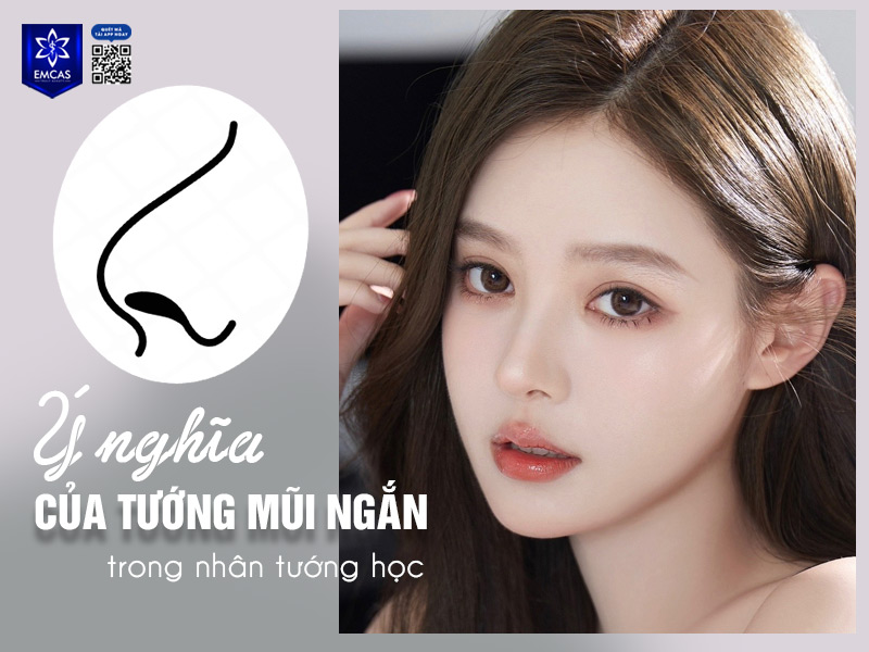 Mũi ngắn thường được cho là biểu hiện của người có vệnh mệnh không ổn định, ít gặp may mắn, khả năng tài chính kém và dễ gặp trắc trở trong công việc. 