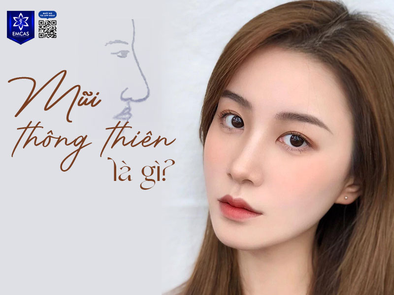 Đặc điểm nổi bật của dáng mũi thông thiên là sống mũi cao, thẳng, liền mạch với trán và không có điểm gãy tại khu vực ấn đường