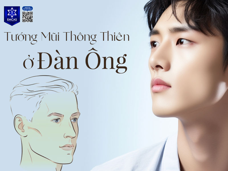Trên con đường công danh, người đàn ông có mũi thông thiên thường gặp nhiều thuận lợi