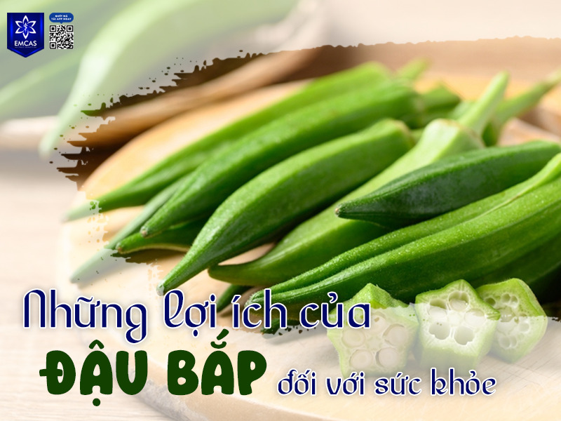 Đậu bắp là loại rau quả quen thuộc, giàu dinh dưỡng và mang lại nhiều lợi ích cho sức khỏe tổng thể.