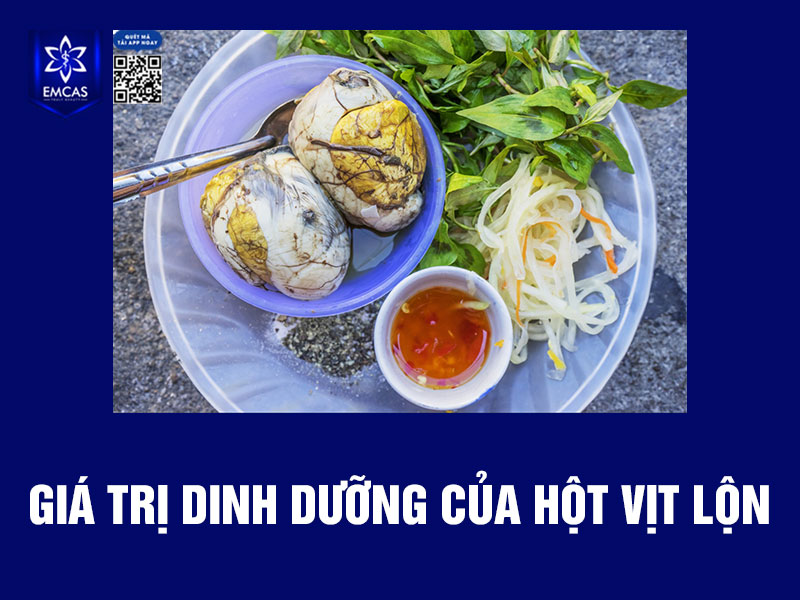 Hột vịt lộn là món ăn dân dã, quen thuộc và chứa nhiều dưỡng chất, thường được khuyên dùng để bồi bổ sức khỏe, tăng năng lượng và hỗ trợ phục hồi cơ thể.