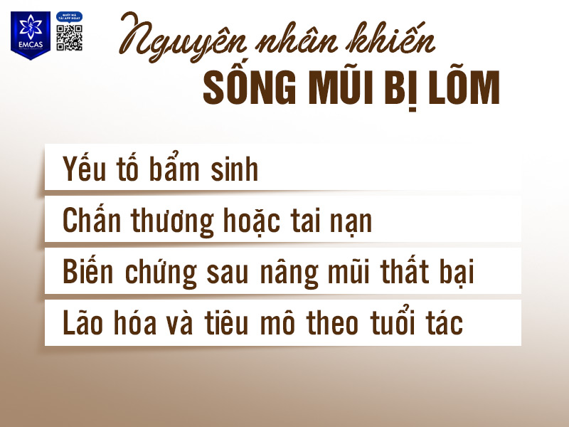 Sống mũi lõm có thể hình thành do nhiều nguyên nhân khác nhau, trong đó có thể chia thành hai nhóm chính: nguyên nhân bẩm sinh và nguyên nhân mắc phải