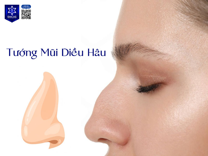 Tướng mũi diều hâu có đặc trưng sống mũi cao, thường hơi gồ lên rõ rệt ở phần giữa, đầu mũi nhọn và khoằm xuống giống như mỏ chim diều hâu