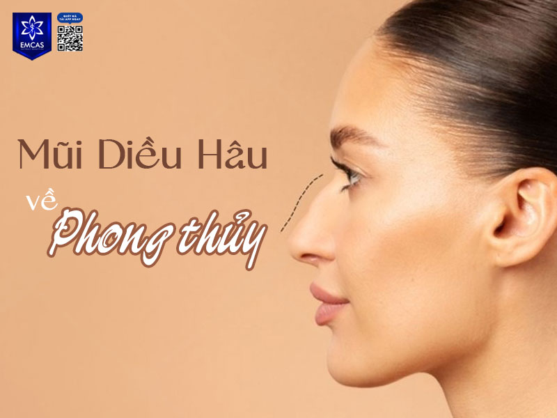 Trong phong thuỷ, tướng mũi diều hâu được xem là biểu tượng của người có ý chí mạnh mẽ, đầu óc sắc bén và khả năng lãnh đạo tốt