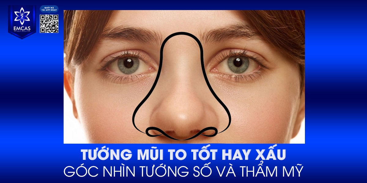 TƯỚNG MŨI TO TỐT HAY XẤU – GÓC NHÌN TƯỚNG SỐ VÀ THẨM MỸ
