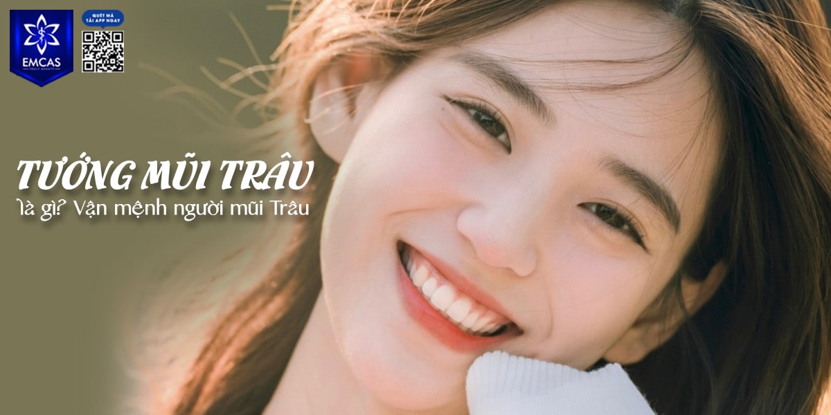 TƯỚNG MŨI TRÂU VẬN MỆNH TỐT HAY XẤU?