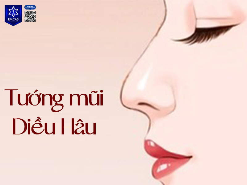 Tướng mũi diều hâu thường có sống mũi cao, dài và đầu mũi khoằm xuống như mỏ chim, thường tạo cảm giác gương mặt sắc sảo và có phần dữ dằn