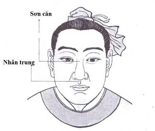 Mũi rồng có sống mũi cao, dài, thẳng, đầu mũi tròn đầy và cánh mũi nở đều