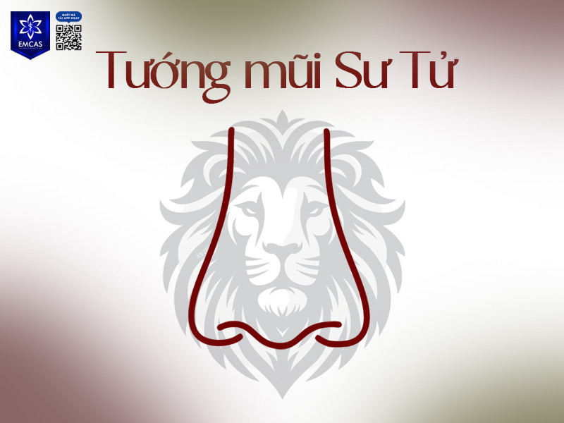 Tướng mũi sư tử là một trong các tướng mũi thể hiện sự mạnh mẽ, quyền uy và tiềm năng phát triển về tài lộc
