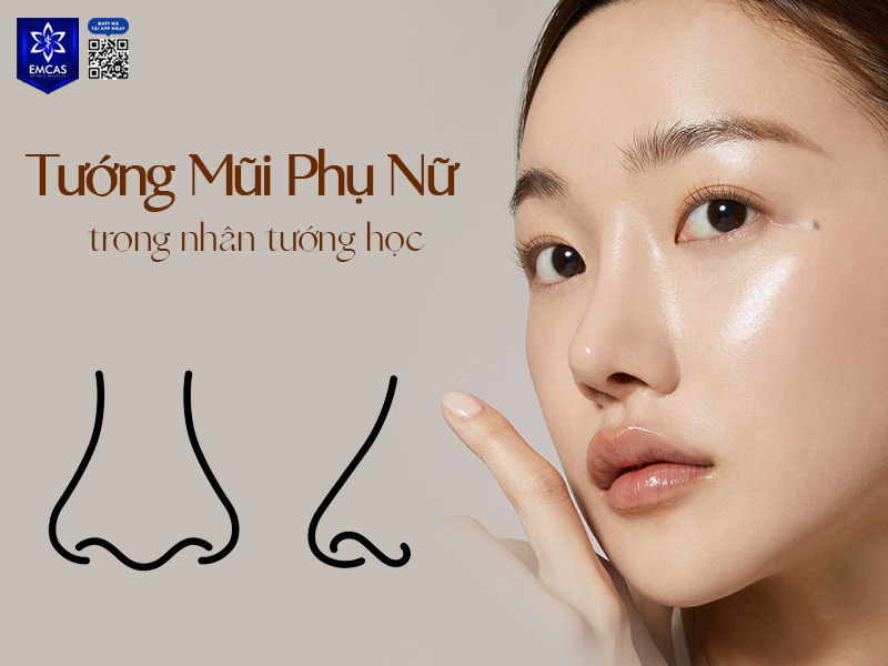 Việc hiểu rõ các tướng mũi có thể giúp phụ nữ nhận diện điểm mạnh, điểm yếu trong tính cách và cuộc sống của mình