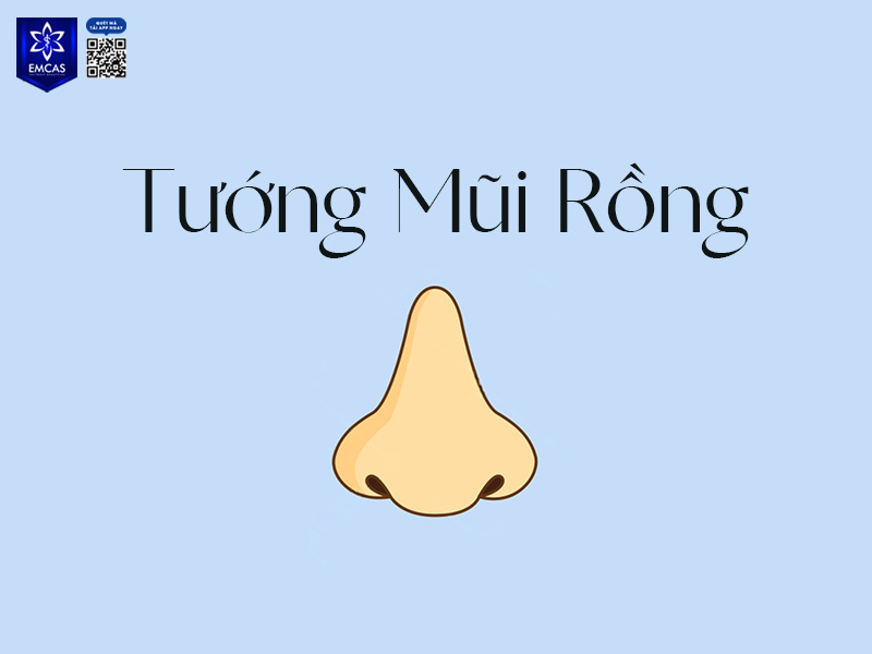 mũi rồng được đánh giá là biểu tượng cho quyền lực, trí tuệ và sự nghiệp hanh thông