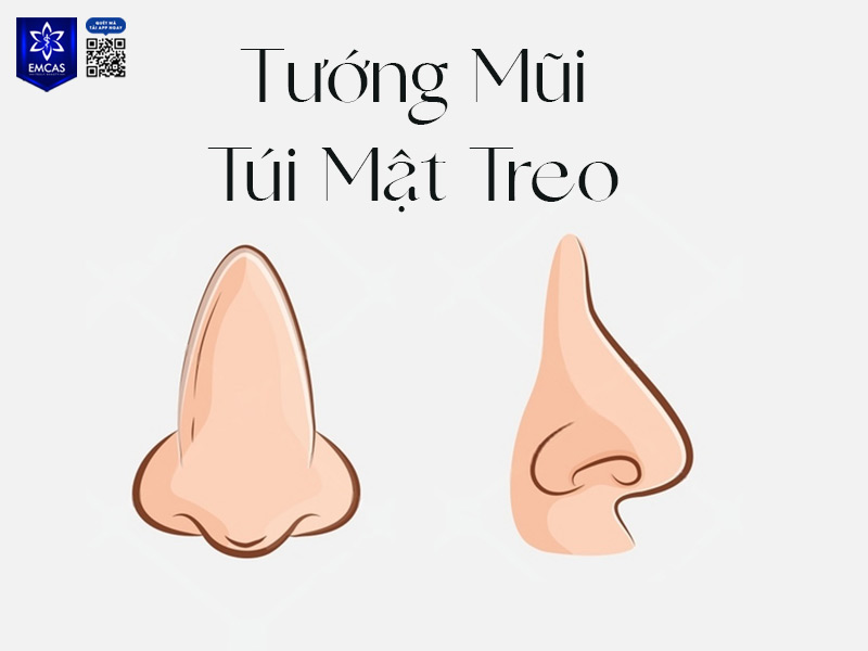 Tướng mũi túi mật treo tượng trưng cho người có hậu vận tốt, cuộc sống sung túc, công thành danh toại