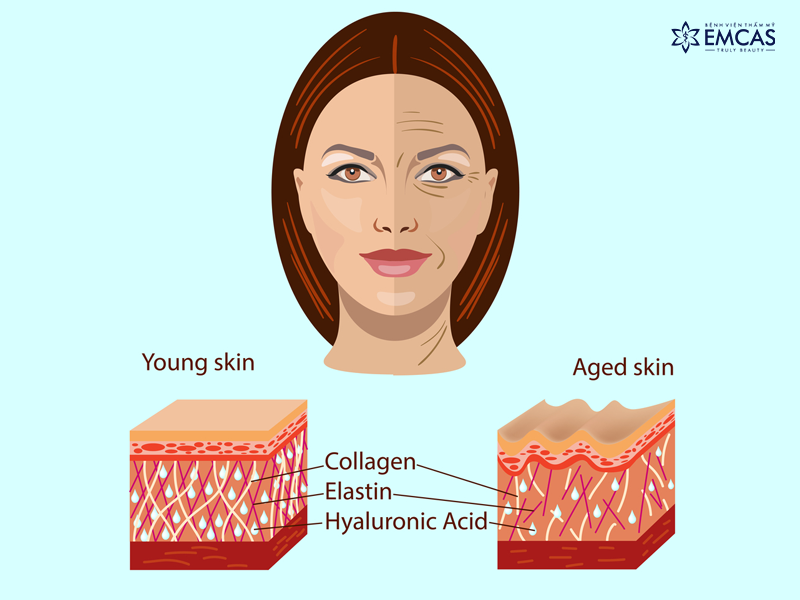 Trẻ Hóa Da Mặt - Giải Pháp Nào Cho Làn Da Lão Hóa?
