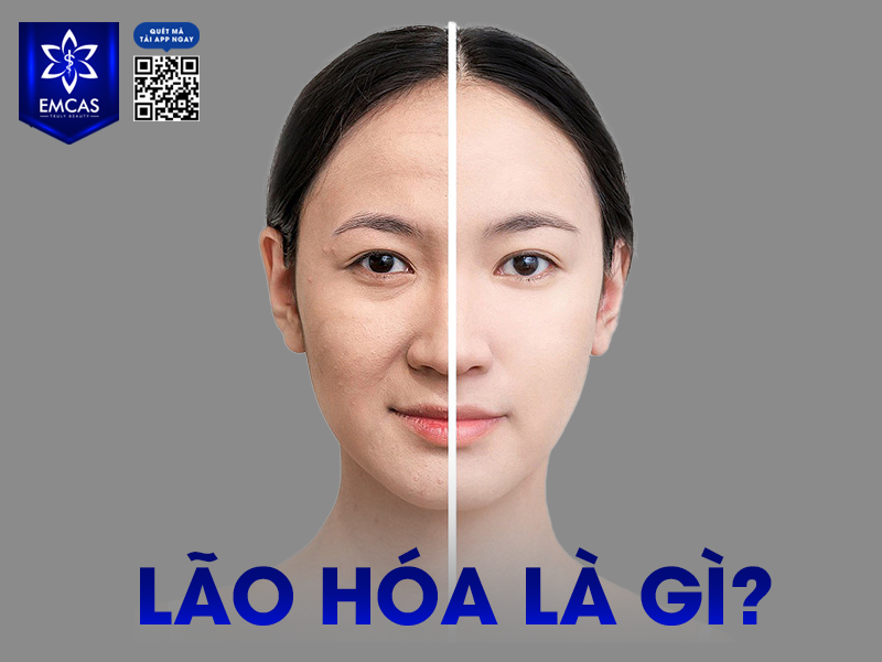 Phòng Ngừa Lão Hóa Với 7 Cách Sau