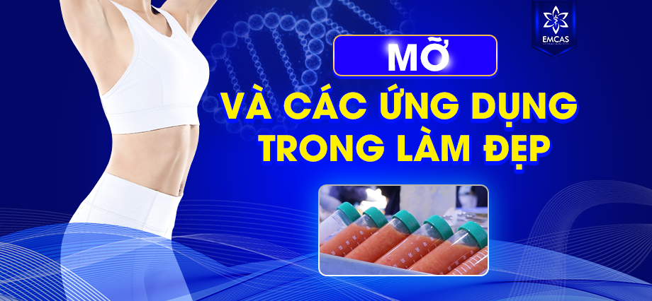 Mỡ Và Các Ứng Dụng Trong Làm Đẹp: Sự Kết Hợp Độc Đáo Cho Ngoại Hình Hoàn Hảo