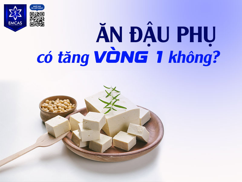 việc ăn đậu phụ chỉ giúp mô ngực có thể trở nên săn chắc, mềm mại và đầy đặn hơn về mặt hình dáng chứ không làm tăng kích thước rõ ràng.