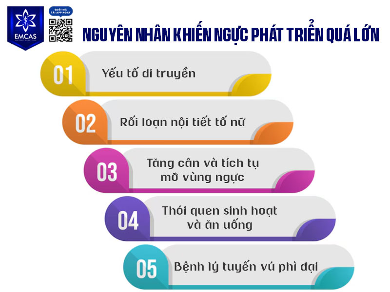 Kích thước vòng 1 được quyết định bởi nhiều yếu tố như di truyền, nội tiết, cân nặng và tình trạng sức khỏe tổng thể. 