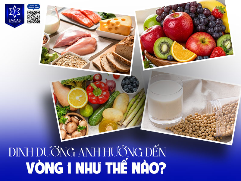 Dinh dưỡng đóng vai trò quan trọng trong việc duy trì và phát triển mô mỡ – thành phần chính cấu tạo nên vòng 1.