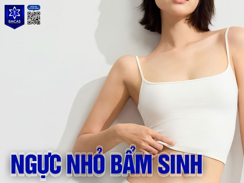 Một số người có vòng 1 nhỏ do yếu tố di truyền hoặc cơ địa từ đầu.