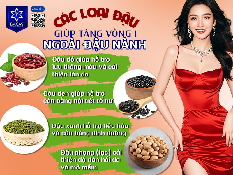 Ngoài bột đậu nành, nhiều loại đậu khác cũng được nhắc đến khi tìm kiếm giải pháp hỗ trợ cải thiện hình dáng vòng ngực an toàn, dễ làm tại nhà.