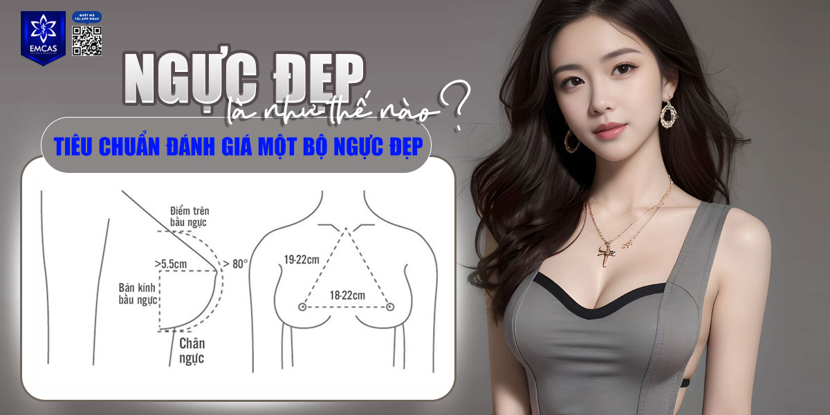 Ngực đẹp là như thế nào? Tiêu chuẩn đánh giá một bộ ngực đẹp