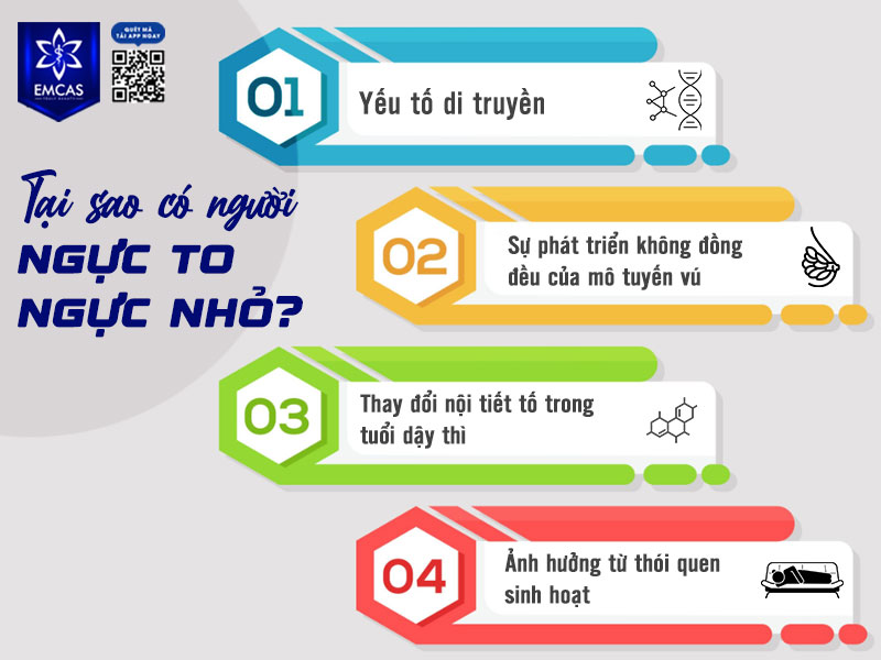 Ngực to nhỏ không đều không chỉ liên quan đến yếu tố bẩm sinh mà còn chịu tác động từ hormone, thói quen sinh hoạt và các giai đoạn thay đổi của cơ thể.