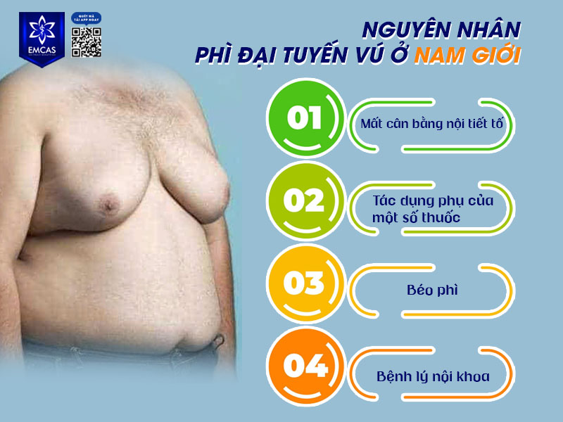 Ở nam giới, testosterone chiếm ưu thế còn estrogen tồn tại với lượng nhỏ, khi testosterone giảm hoặc estrogen tăng, mô tuyến vú có thể phát triển gây ra ngực phì đại.