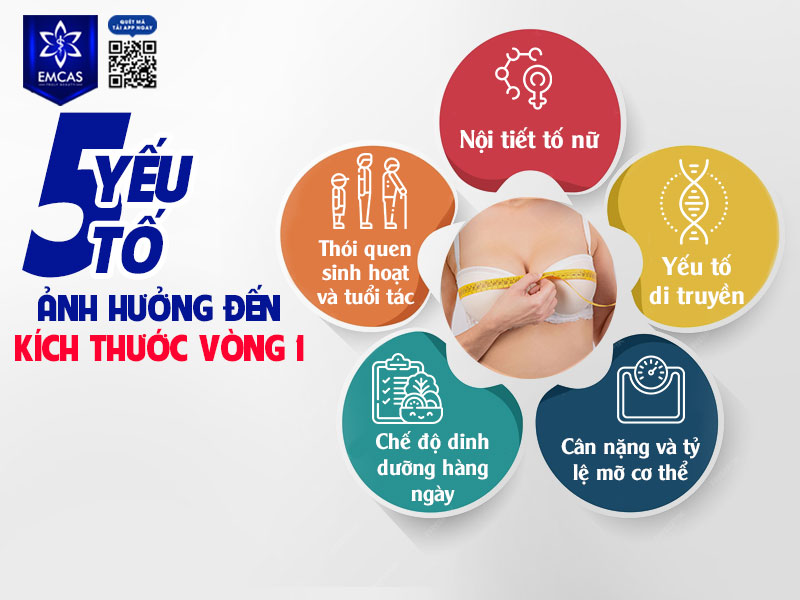 Kích thước vòng 1 chịu ảnh hưởng bởi nhiều yếu tố khác nhau, không chỉ riêng chế độ ăn uống hay việc bổ sung trái cây tăng vòng 1 như nhiều người vẫn nghĩ.
