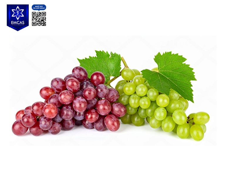 Nho chứa resveratrol và flavonoid giúp làm chậm quá trình lão hóa, có lợi cho mô liên kết và làn da vùng ngực, hỗ trợ giữ dáng ngực săn chắc.