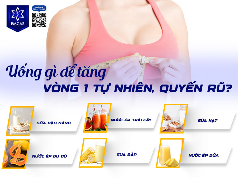 Các loại nước uống tăng vòng 1 thường là những loại giàu dưỡng chất, an toàn cho sức khỏe và hỗ trợ cân bằng nội tiết tố nữ.
