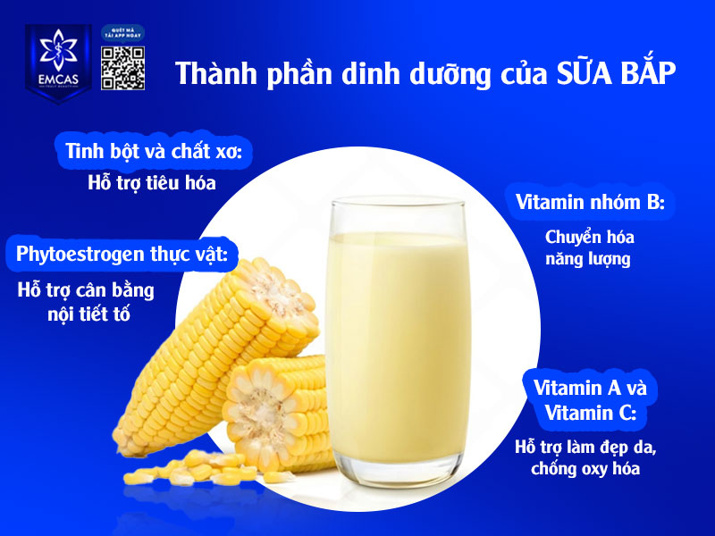 Bắp có hàm lượng tinh bột dồi dào, cung cấp năng lượng cho cơ thể hoạt động hằng ngày.