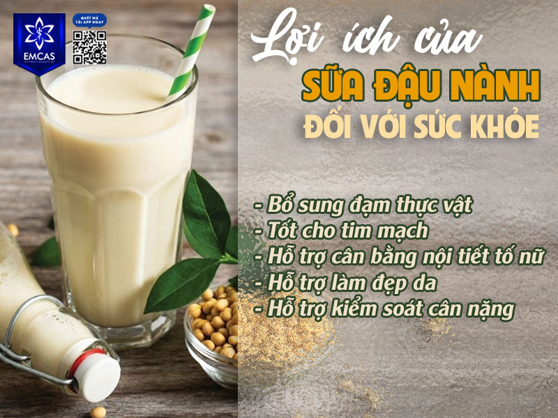 Sữa đậu nành có chứa isoflavone – một hợp chất thực vật có cấu trúc gần giống estrogen tự nhiên hỗ trợ quá trình điều hòa nội tiết ở mức độ nhất định