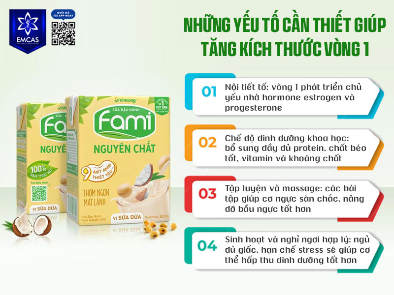 Kích thước vòng 1 không chỉ phụ thuộc vào một loại thực phẩm hay đồ uống cụ thể, mà là sự tổng hòa của nhiều yếu tố khác nhau.