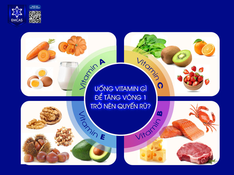Vitamin chỉ giúp hỗ trợ sức khỏe mô ngực, cải thiện độ đàn hồi da và gián tiếp ảnh hưởng đến nội tiết tố nữ mà không phải trực tiếp làm vòng 1 tăng kích thước nhanh chóng.