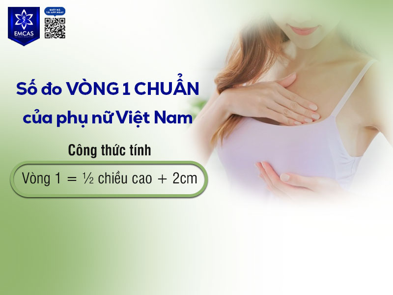 Số đo vòng ngực trung bình của phụ nữ Việt Nam dao động trong khoảng 80 – 87 cm, tùy theo chiều cao và cân nặng.